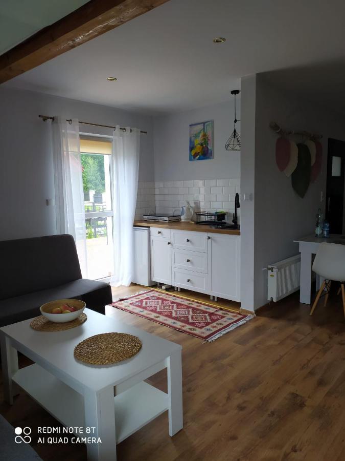 Apartament Radochow 138G Διαμέρισμα Lądek-Zdrój Εξωτερικό φωτογραφία