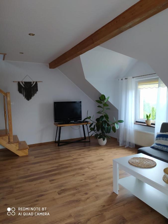 Apartament Radochow 138G Διαμέρισμα Lądek-Zdrój Εξωτερικό φωτογραφία